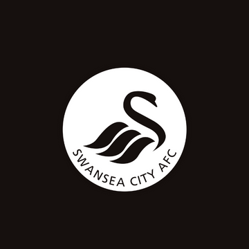 Swansea Cidade AFC
