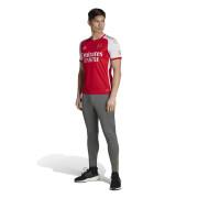 Home jersey Arsenal 2023/24