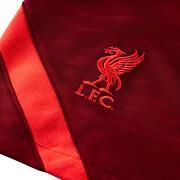 Calções Liverpool FC Dynamic Fit Strike 2021/22