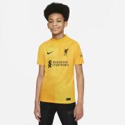 Camisola de guarda-redes infantil Liverpool FC Dri-Fit Stadium